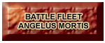 Battle Fleet Angelus Mortis